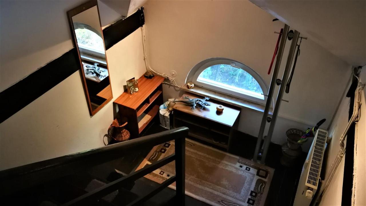 Ferienwohnung Attic Oelsnitz am Hegebach mit Netflix und Parkplatz Self Check-in Exterior foto